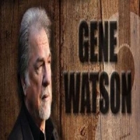 Gene Watson - Punta Gorda
