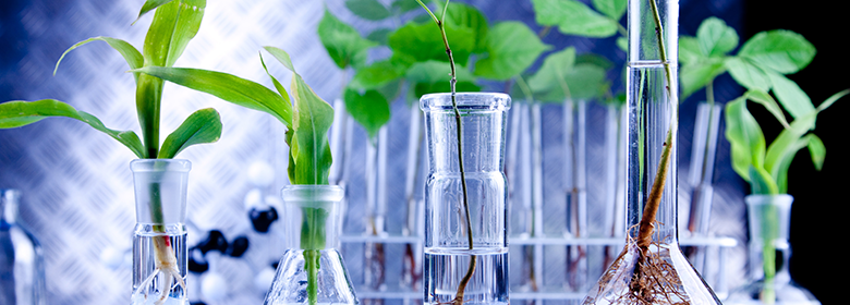 8th Edition of International Conference on  Pharmacognosy and Medicinal Plants Theme: New Trends & Effective Strategies for Medicinal & Natural Products  Event Date & Time March 09-10, 2020   Event Location, Barcelona, Sicilia, Italy