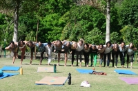 500 Hour Yoga Teacher Training in Rishikesh, India 2019