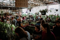 Richmond - Huge Indoor Plant Sale - Rare Plant Party En Blanc