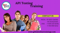API Testing Training | Best API Testing Certification training – GOT