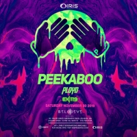 Peekaboo | IRIS Esp101 - Saturday November 30