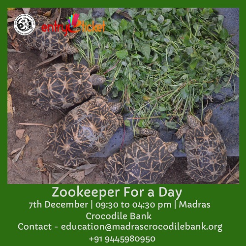 Zookeeper For A Day - Entryeticket, Chennai, Tamil Nadu, India