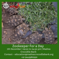 Zookeeper For A Day - Entryeticket