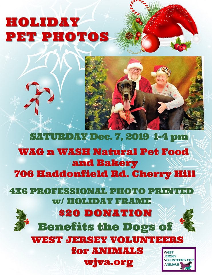 Holiday Pet Photos with Santa, Cherry Hill, New Jersey, United States