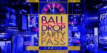Ball Drop Times Square Family Party Pass, New York, United States