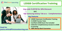 LSSGB Certification Course in Denver, CO