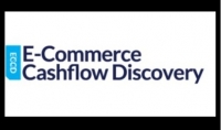 Amazon e-Commerce Cash Flow Workshop