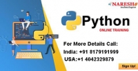 Python Online Training In Florida,USA | Python Online Course In Florida,USA| NareshIT