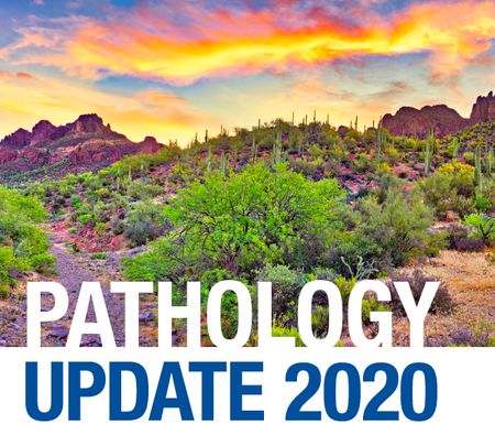 Mayo Clinic Pathology Update 2020, Phoenix, Arizona, United States