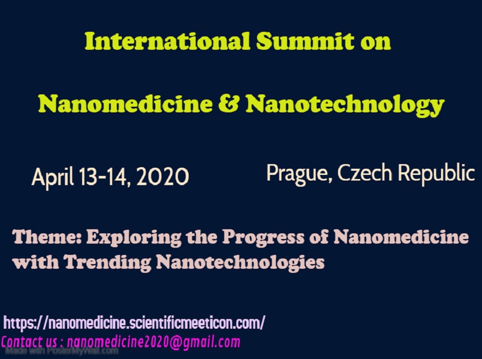 International Summit on Nanomedicine & Nanotechnology, Prague, Hlavni mesto Praha, Czech Republic