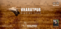 BHARATPUR BIRD Photography Tour
