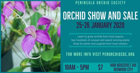 Peninsula Orchid Society Show and Sale, Redwood City, California, United States