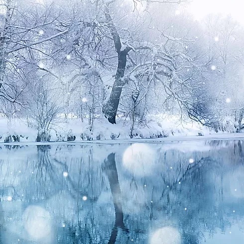 Winter Wonderland, Chillicothe, Illinois, United States