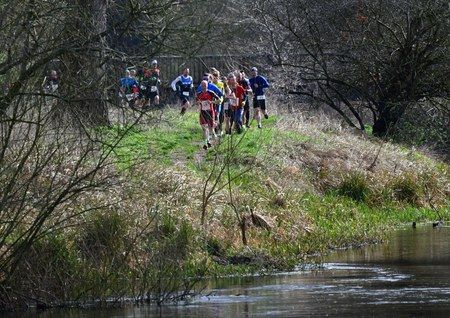 Mud and Mayhem Duathlon, Cani and Trail Race, High Lodge Thetford Forest 2020, Suffolk, United Kingdom