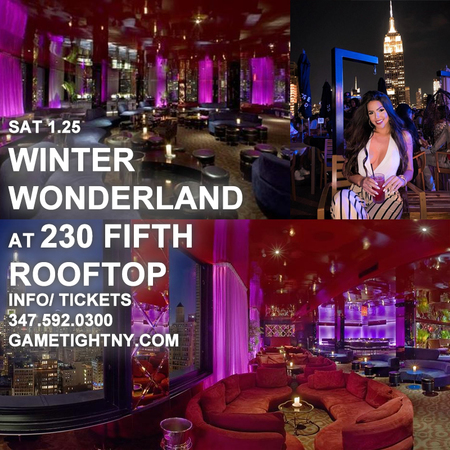 Winter Wonderland Penthouse Party at 230 Fifth Rooftop, New York, United States