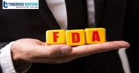 Good Documentation Practices to Support FDA Computer System Validation