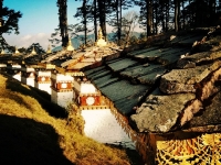 5 Days Around the Dragon in Bhutan