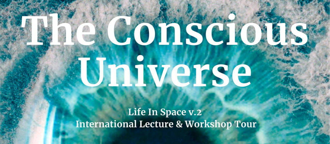 The Conscious Universe Workshop, Pune, Maharashtra, India