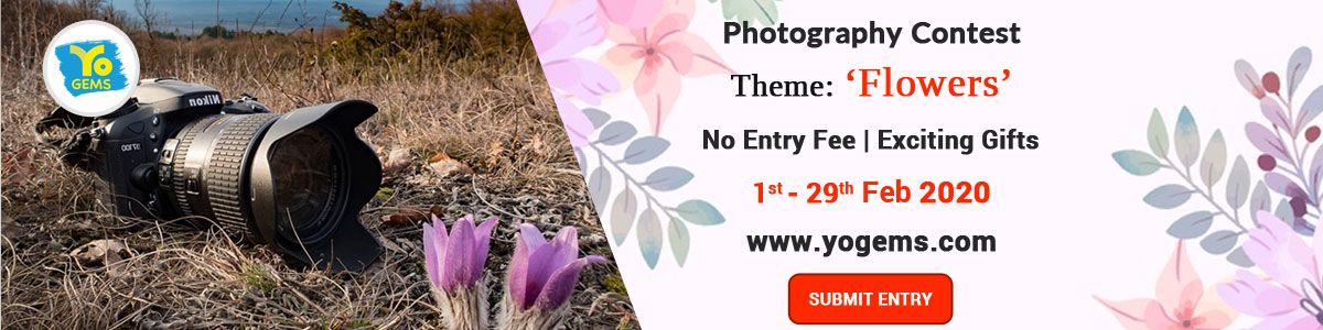 February Photography Contest: Theme - Flowers, Gautam Buddh Nagar, Uttar Pradesh, India