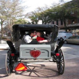Romantic Valentine Carriage Ride, Wilmington, North Carolina, United States
