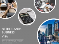 Approach Sanctum Consulting for Netherlands Business Visa
