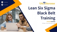 Lean Six Sigma Black Belt Certification Training in Florida, United States