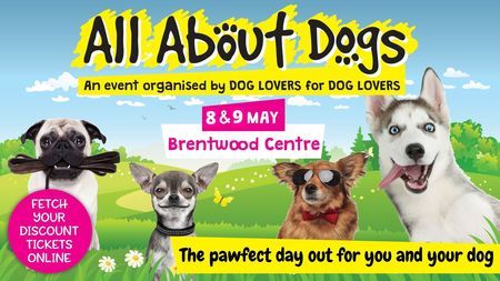 All About Dogs Show Essex 2020, Brentwood, United Kingdom