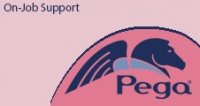 Pega Job Support | PSN Support