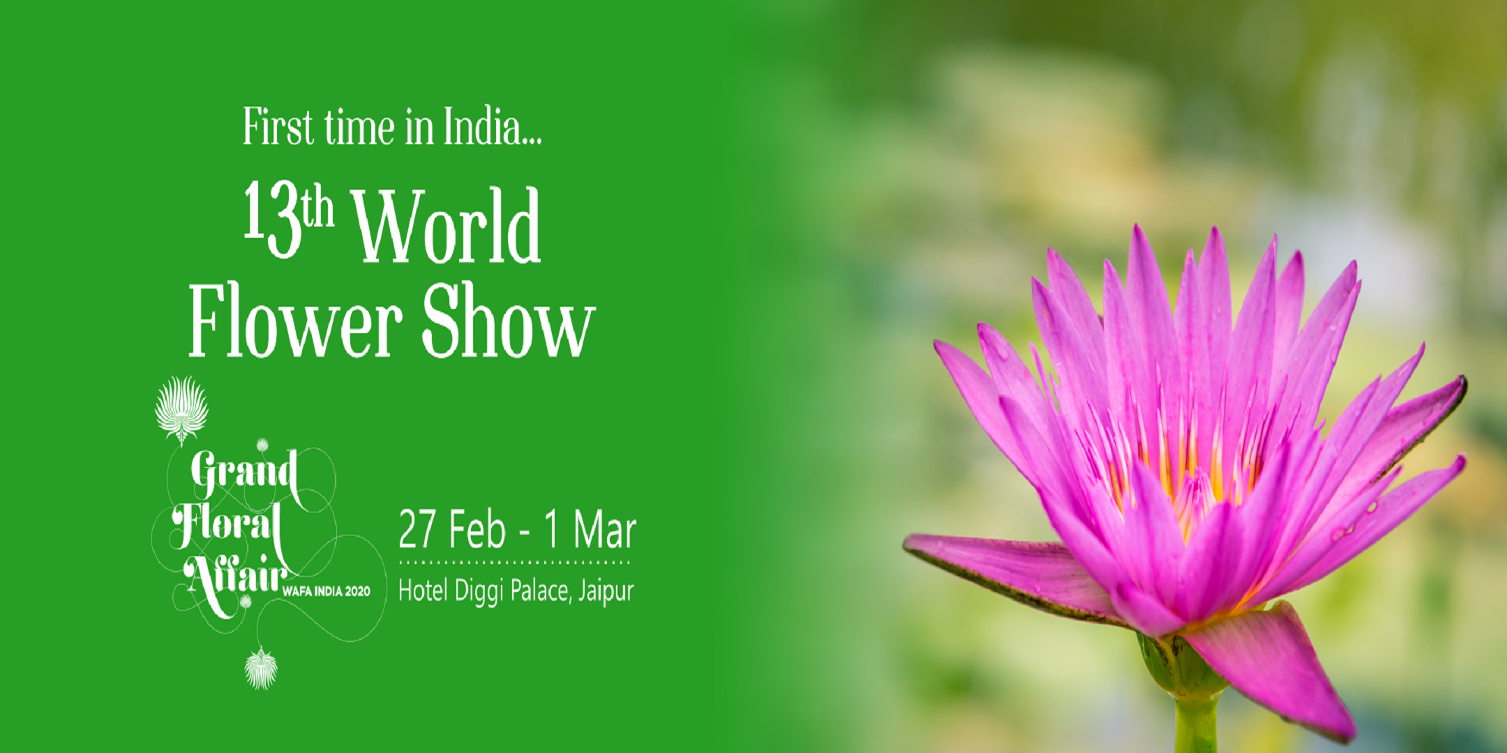 13th World Flower Show - Grand Floral Affair, Jaipur, Rajasthan, India