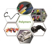 Polymer Science 2020