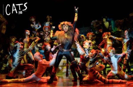 Cats Presented at the Stanley Theater, Rome, New York, United States