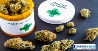 Medical cannabis: 2020 updates on GMP guidelines and regulations