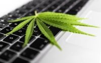 Creating Awareness About Marijuana in the Workplace - 2020