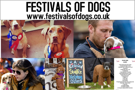 The London Festivals of Dogs, Merton, London, United Kingdom