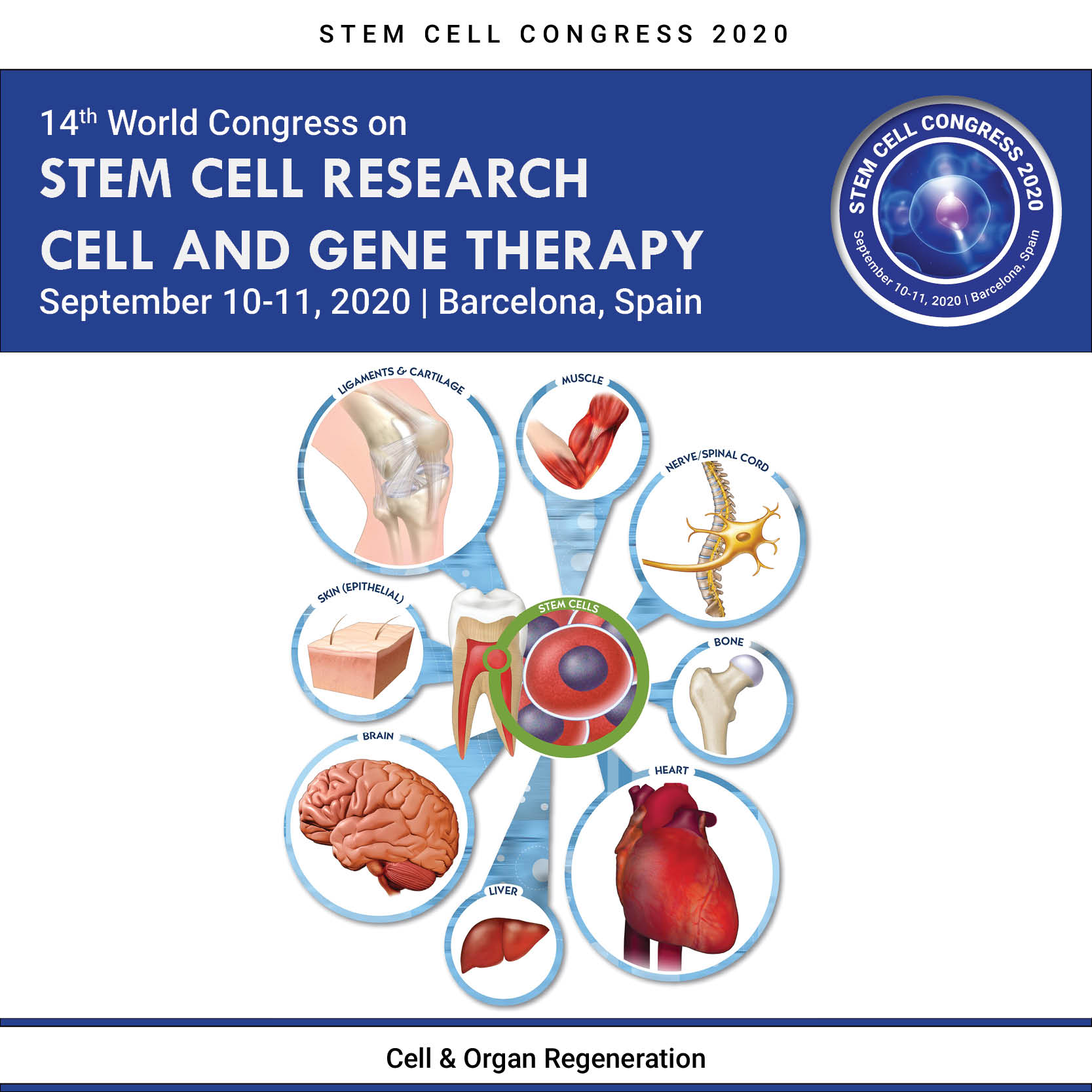 14th World Congress on  Stem Cell Research, Cell and Gene Therapy, Barcelona, Spain,Cataluna,Spain
