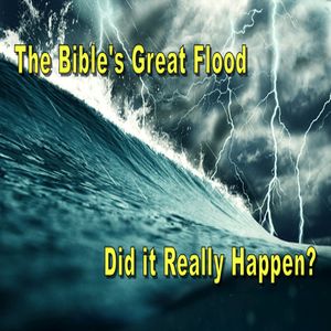 Does Science Support the Flood Referenced in the Bible?, Sierra Vista, Arizona, United States