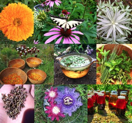 Roberta's Herbs 2020 Herbal Apprenticeship Program, Merrimac, Massachusetts, United States
