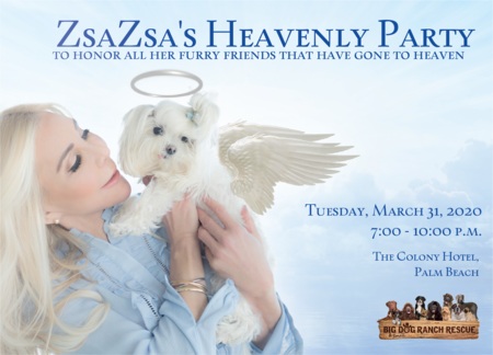 ZsaZsa's Heavenly Party, Palm Beach, Florida, United States