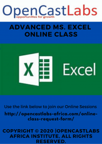 Advanced Ms. Excel Online Class
