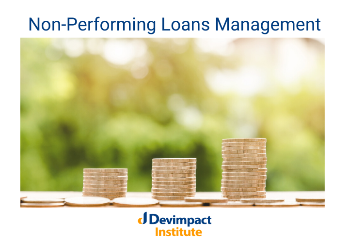 Training on Non-Performing Loans Management, Nairobi, Kenya