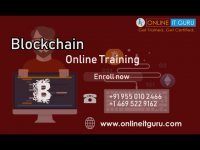 Free Blockchain Online Training Demo