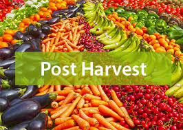 Causes and Minimization of Post-Harvest Losses, Westlands, Nairobi, Kenya