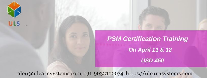 Professional Scrum Master (PSM) Certification Training Course in The-valley, Anguilla, The Valley, Anguilla