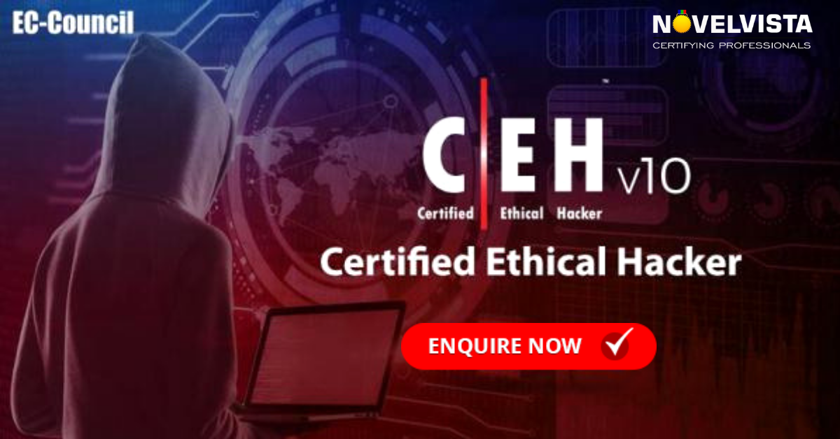 Certified Ethical Hacking Training & Certification by NovelVista, Pune, Maharashtra, India