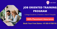 online training program with 100% placement support