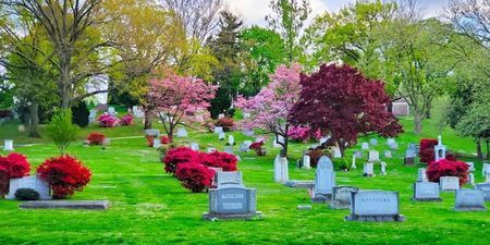 Beautiful Blooms: Spring Arbor Tour, Bala Cynwyd, Pennsylvania, United States