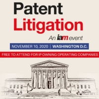 Patent Litigation 2020