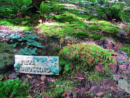 Serenity Moss Garden Viewing! (rain or shine), Hendersonville, North Carolina, United States