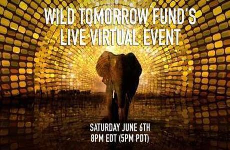 Wild Tomorrow Fund's Live Virtual Event, New York, United States